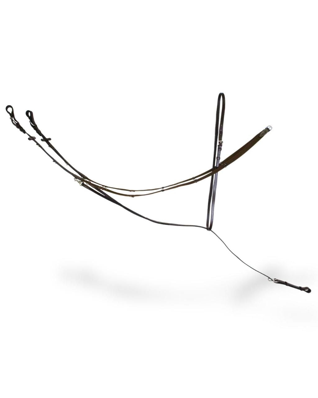 German Martingale with Reins